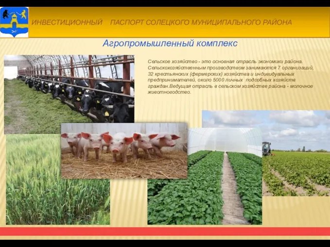 Агропромышленный комплекс Сельское хозяйство - это основная отрасль экономики района. Сельскохозяйственным