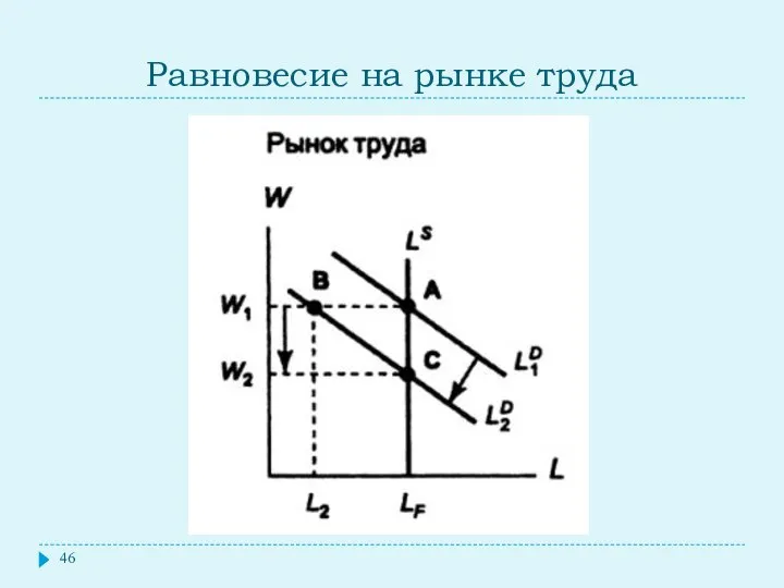 Равновесие на рынке труда