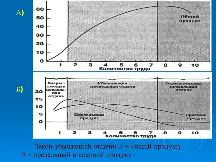 А) Б) Закон убывающей отдачи: а – общий продукт; б – предельный и средний продукт