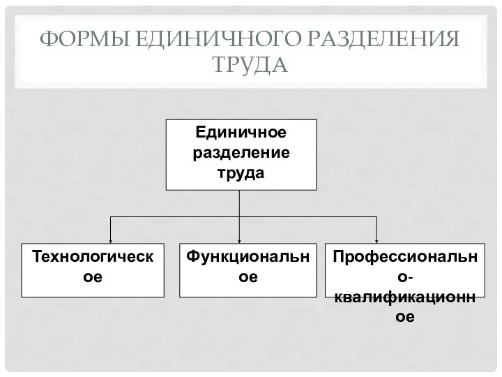 ФОРМЫ ЕДИНИЧНОГО РАЗДЕЛЕНИЯ ТРУДА