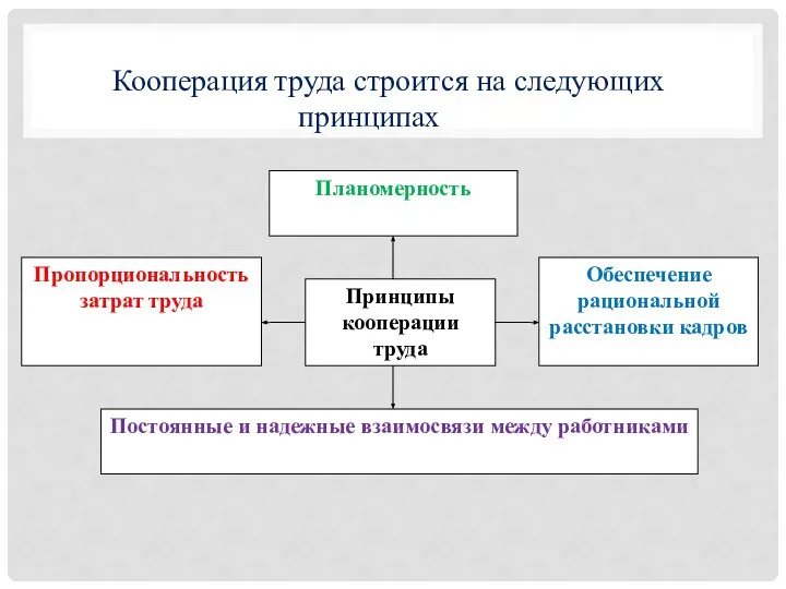 Кооперация труда строится на следующих принципах