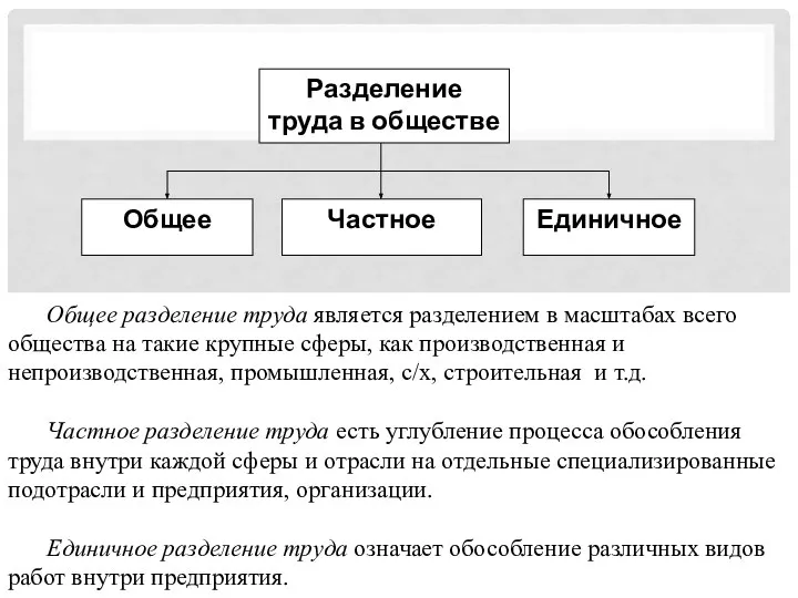 Общее разделение труда является разделением в масштабах всего общества на такие