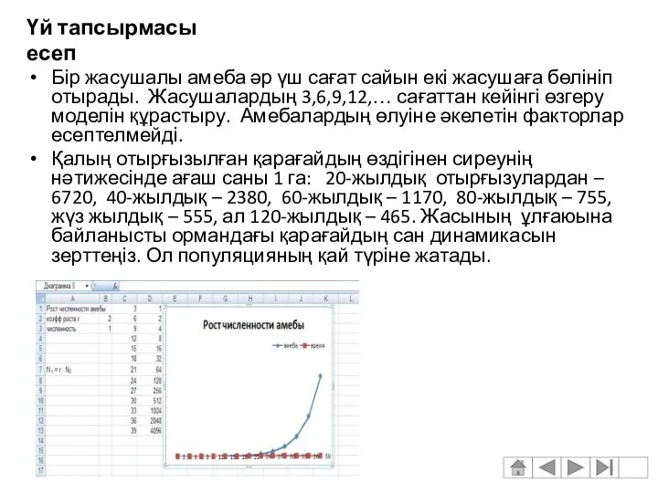 Үй тапсырмасы есеп Бір жасушалы амеба әр үш сағат сайын екі