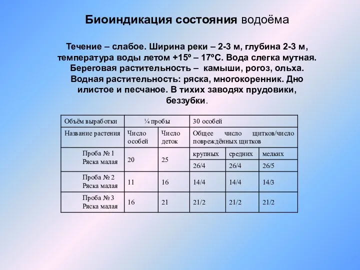 Биоиндикация состояния водоёма Течение – слабое. Ширина реки – 2-3 м,