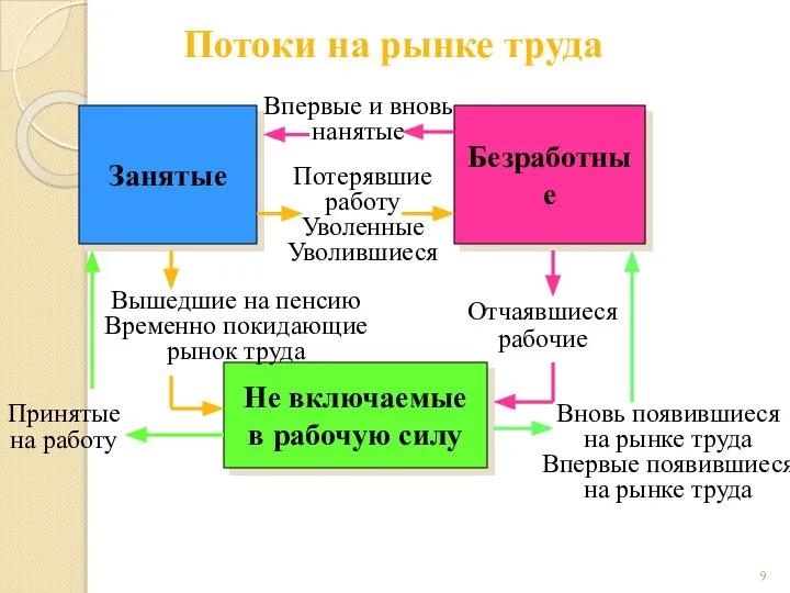 Занятые Безработные Не включаемые в рабочую силу Потоки на рынке труда