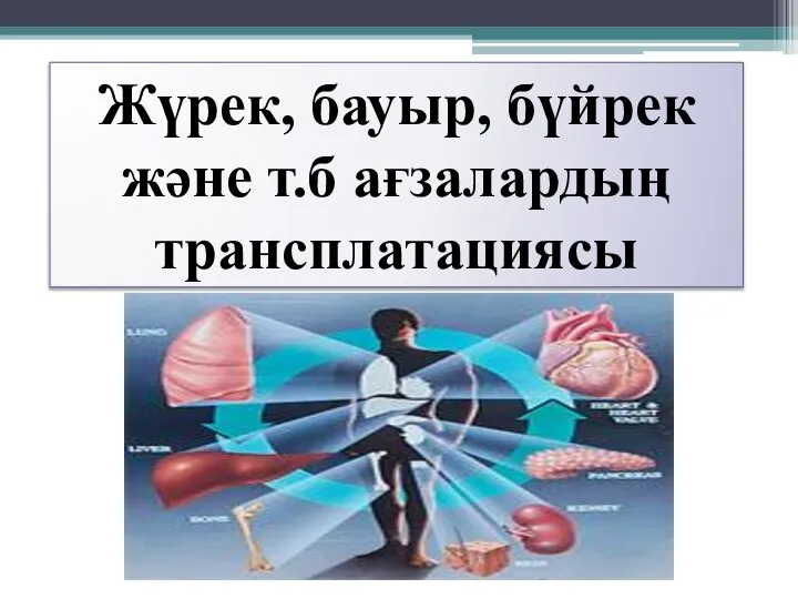 Жүрек, бауыр, бүйрек және т.б ағзалардың трансплатациясы