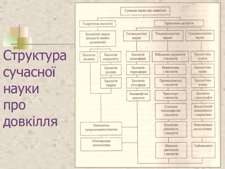 Структура сучасної науки про довкілля