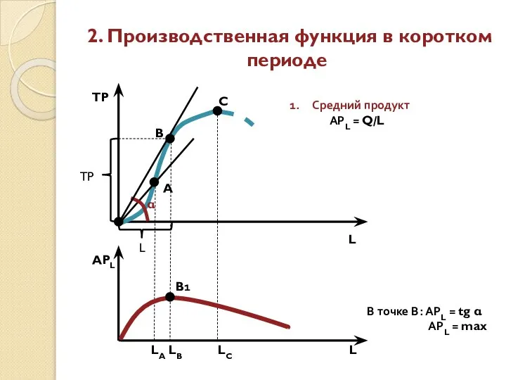 2. Производственная функция в коротком периоде TP A C B L