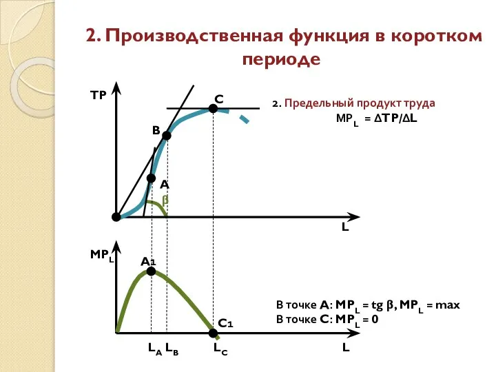 2. Производственная функция в коротком периоде TP A C B L
