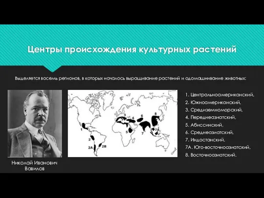 Центры происхождения культурных растений 1. Центральноамериканский, 2. Южноамериканский, 3. Средиземноморский, 4.