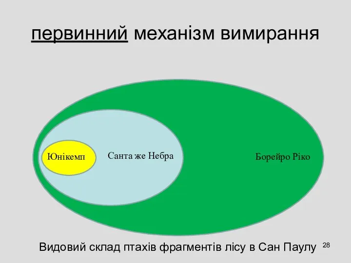 первинний механізм вимирання Борейро Ріко Санта же Небра Юнікемп Видовий склад