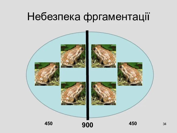 Небезпека фргаментації 900 450 450