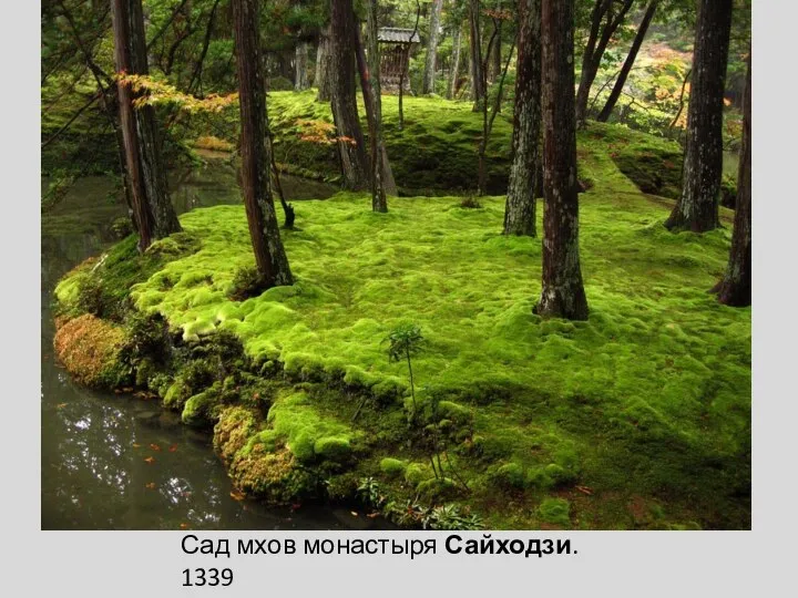 Сад мхов монастыря Сайходзи. 1339