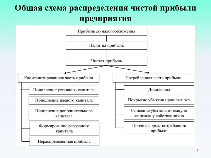 Общая схема распределения чистой прибыли предприятия