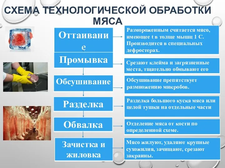 СХЕМА ТЕХНОЛОГИЧЕСКОЙ ОБРАБОТКИ МЯСА