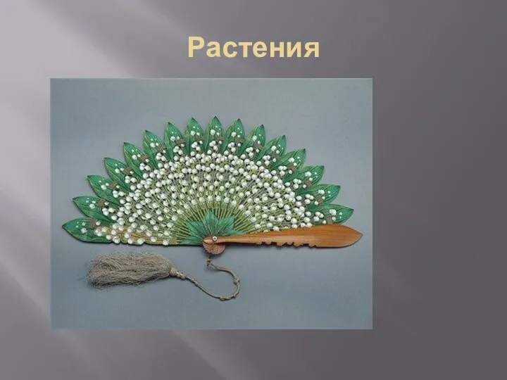 Растения