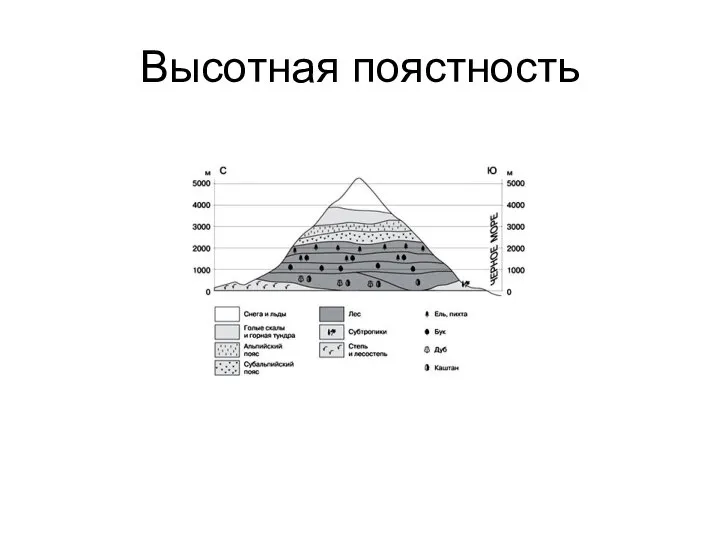 Высотная поястность