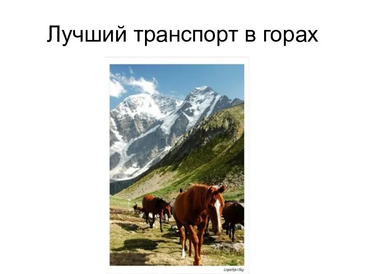 Лучший транспорт в горах