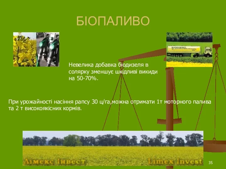 БІОПАЛИВО При урожайності насіння рапсу 30 ц/га,можна отримати 1т моторного палива