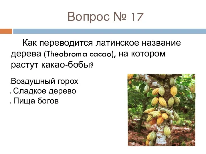 Вопрос № 17 Как переводится латинское название дерева (Theobroma cacao), на