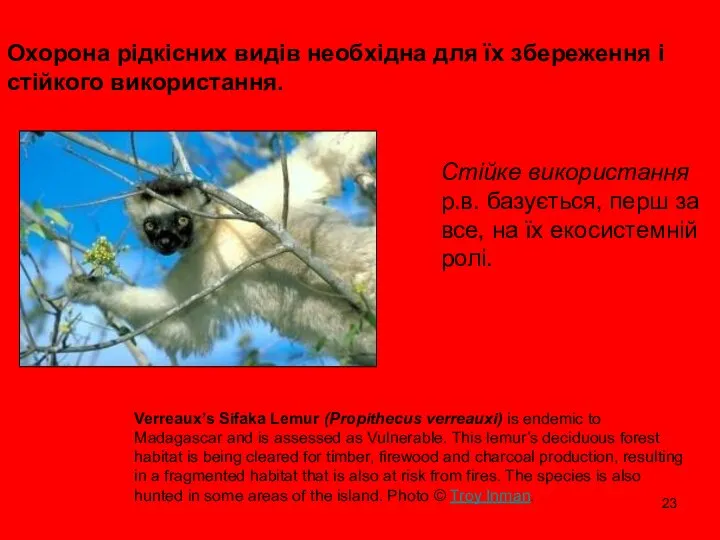 Охорона рідкісних видів необхідна для їх збереження і стійкого використання. Verreaux’s