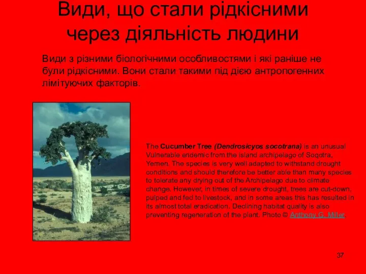 Види, що стали рідкісними через діяльність людини Види з різними біологічними