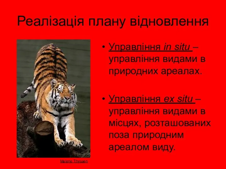 Реалізація плану відновлення Управління in situ – управління видами в природних