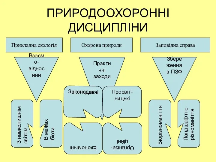 ПРИРОДООХОРОННІ ДИСЦИПЛІНИ Взаємо- відносини Практичні заходи Збереження в ПЗФ Економічні Просвіт-ницькі