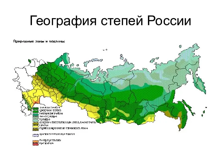 География степей России