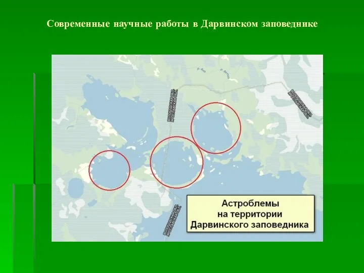 Современные научные работы в Дарвинском заповеднике