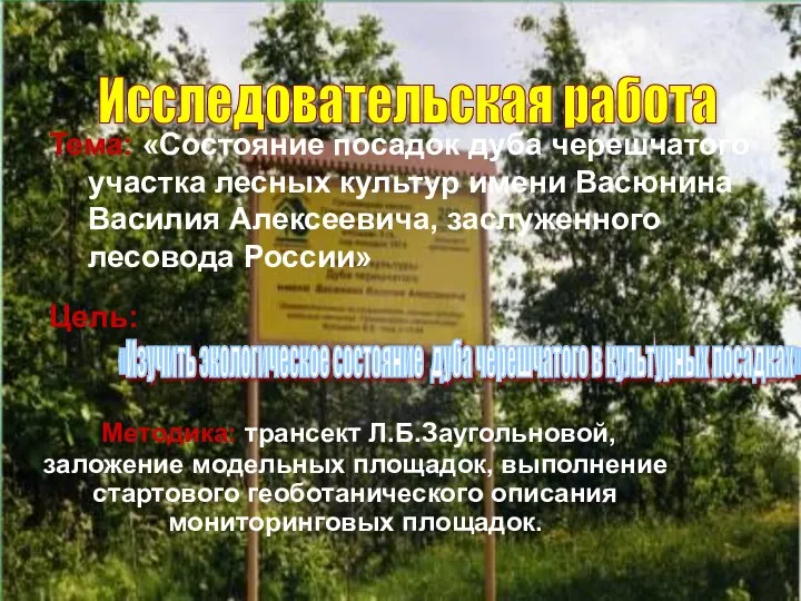 Тема: «Состояние посадок дуба черешчатого участка лесных культур имени Васюнина Василия