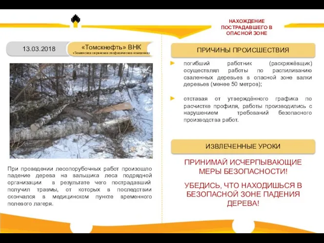 13.03.2018 При проведении лесопорубочных работ произошло падение дерева на вальщика леса