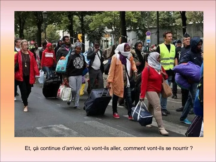 Et, çà continue d’arriver, où vont-ils aller, comment vont-ils se nourrir ?