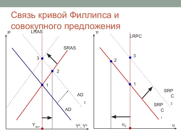 Связь кривой Филлипса и совокупного предложения P SRAS AD Yd, Ys