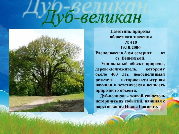 Дуб-великан Памятник природы областного значения № 418 19.10.2006 Расположен в 8