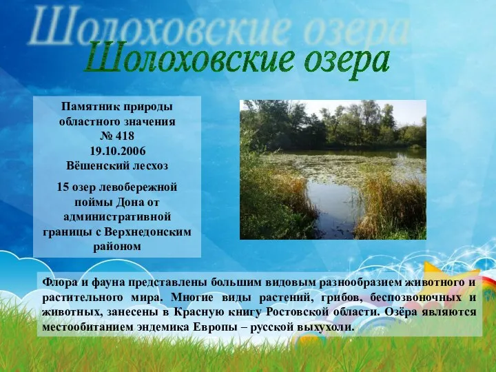 Шолоховские озера Памятник природы областного значения № 418 19.10.2006 Вёшенский лесхоз