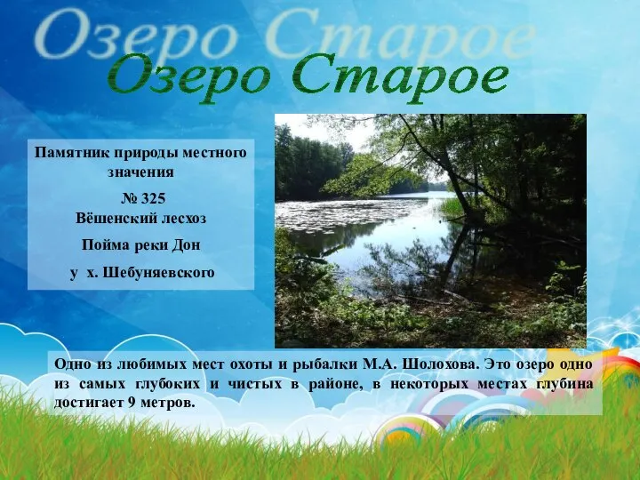 Озеро Старое Памятник природы местного значения № 325 Вёшенский лесхоз Пойма