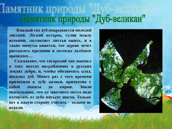 Памятник природы "Дуб-великан" Каждый год дуб покрывается молодой листвой. Лёгкий ветерок,