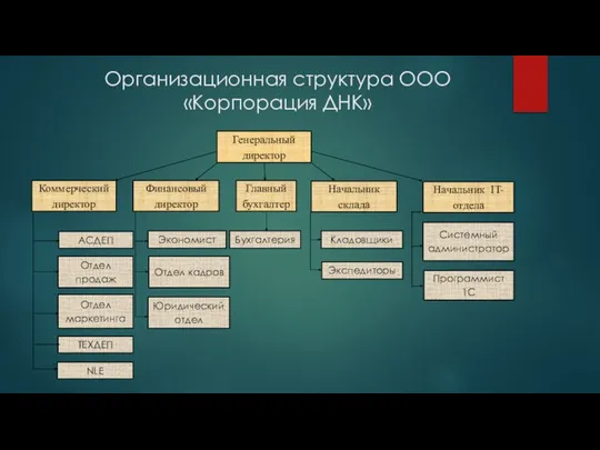 Организационная структура ООО «Корпорация ДНК»