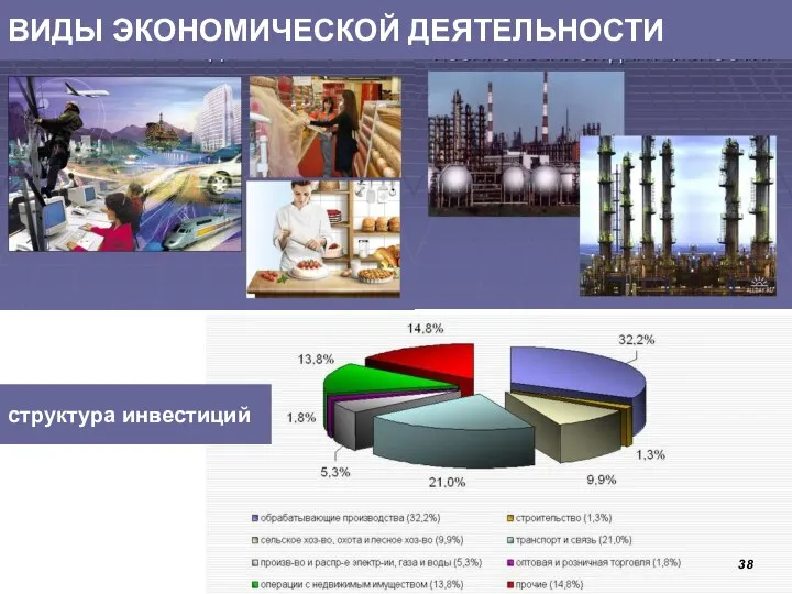 ВИДЫ ЭКОНОМИЧЕСКОЙ ДЕЯТЕЛЬНОСТИ структура инвестиций 38