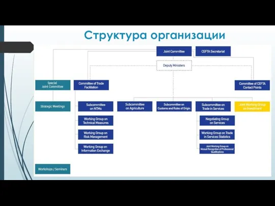 Структура организации