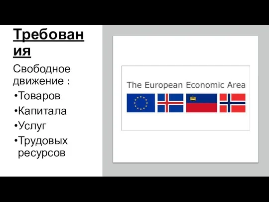 Требования Свободное движение : Товаров Капитала Услуг Трудовых ресурсов