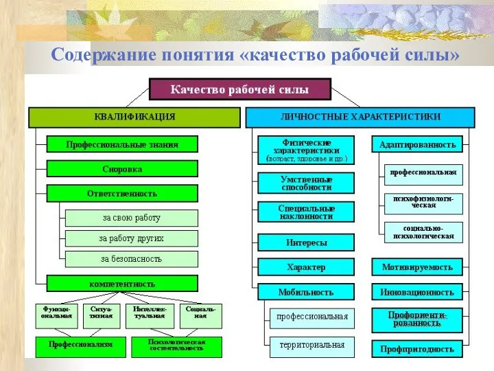 Содержание понятия «качество рабочей силы»