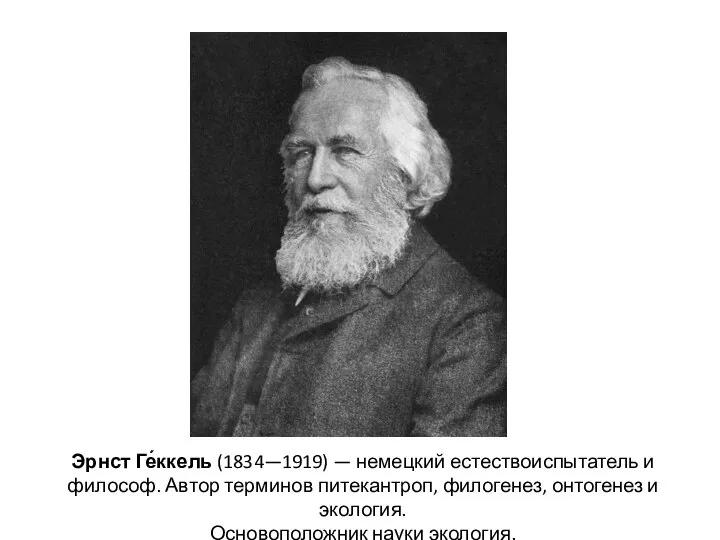 Эрнст Ге́ккель (1834—1919) — немецкий естествоиспытатель и философ. Автор терминов питекантроп,