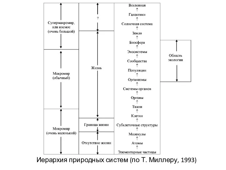 Иерархия природных систем (по Т. Миллеру, 1993)