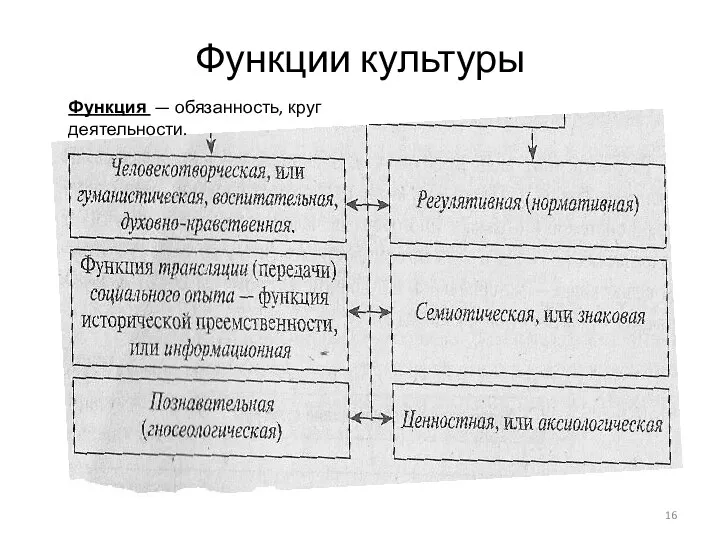 Функции культуры Функция — обязанность, круг деятельности.