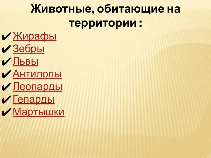 Животные, обитающие на территории : Жирафы Зебры Львы Антилопы Леопарды Гепарды Мартышки