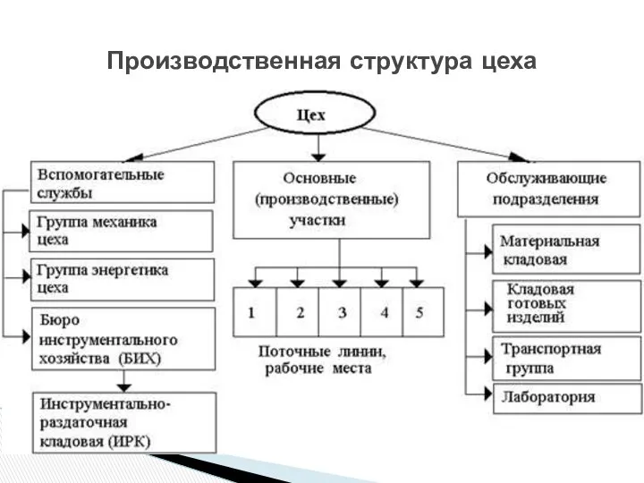 Производственная структура цеха