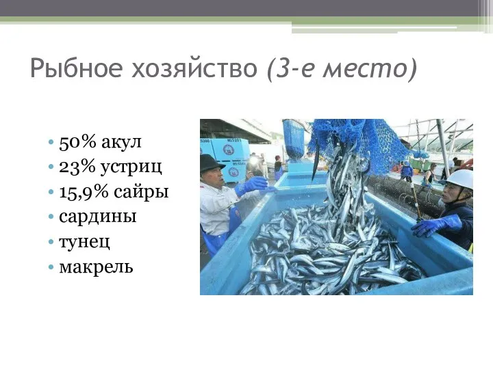 Рыбное хозяйство (3-е место) 50% акул 23% устриц 15,9% сайры сардины тунец макрель