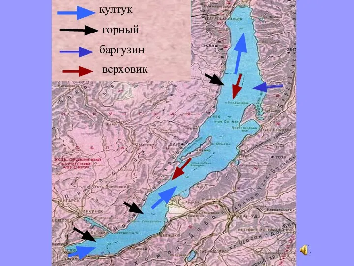 култук горный баргузин верховик